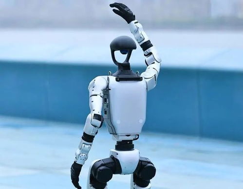 人形機(jī)器人產(chǎn)業(yè)迎來爆發(fā)期，宇樹科技啟動IPO引領(lǐng)行業(yè)新浪潮