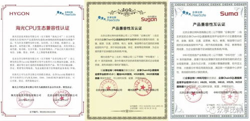 ChainSQL完成與海光、中科曙光、中科可控產(chǎn)品兼容性認(rèn)證 開啟國產(chǎn)化數(shù)據(jù)庫新篇章