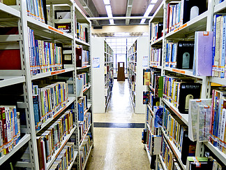 圖書館藏書標(biāo)簽?zāi)０?免費(fèi)下載與高效管理指南